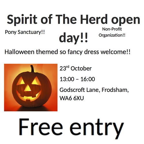 pony sanctuary halloween party